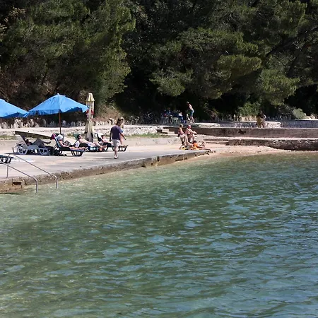 Luxury With A Swimming Pool Palit, Rab - 22153